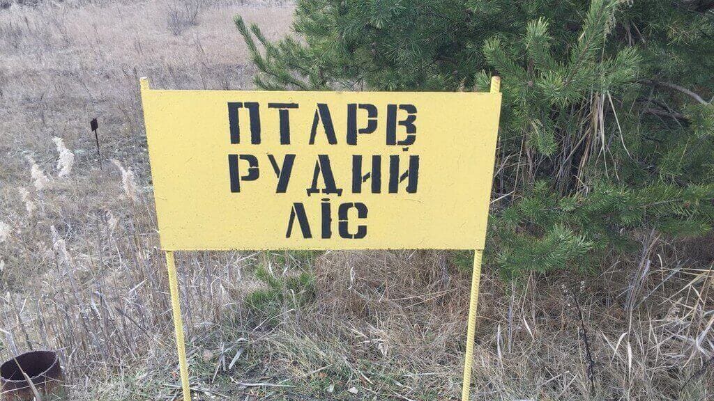 The forest with the saddest fate or the „red forest”